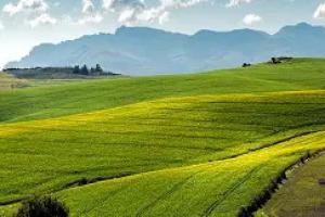 Campos Sin datos  ARRIENDO CAMPOS